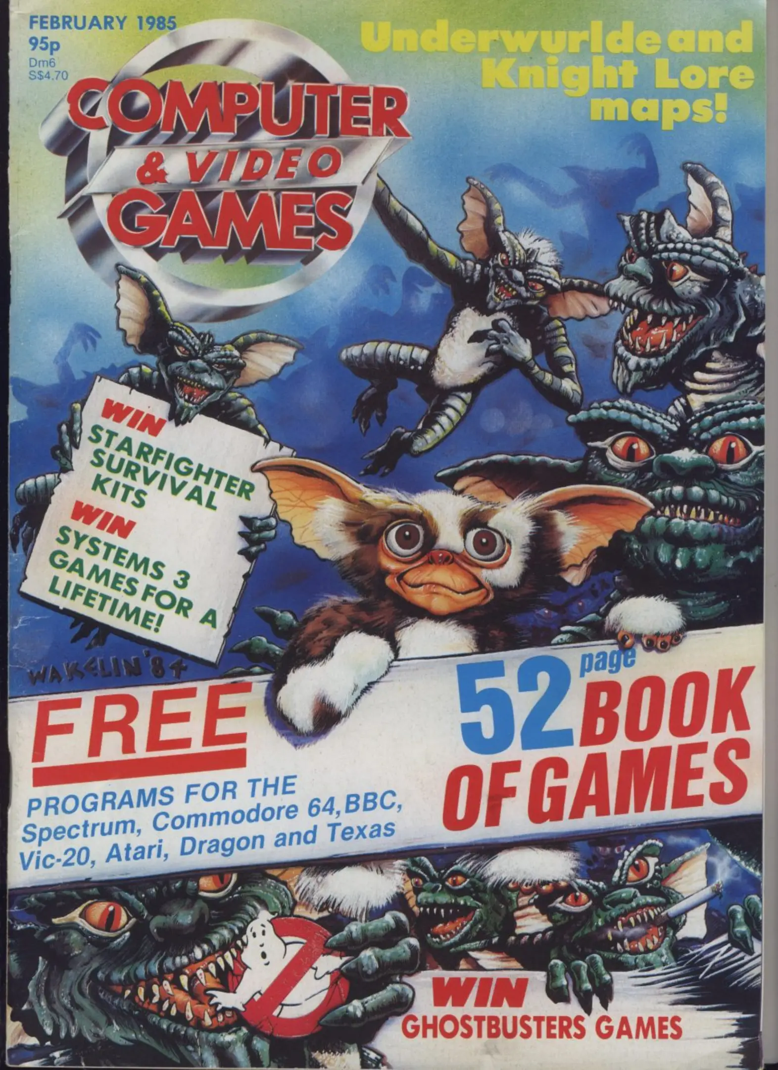 Computer & Video Games