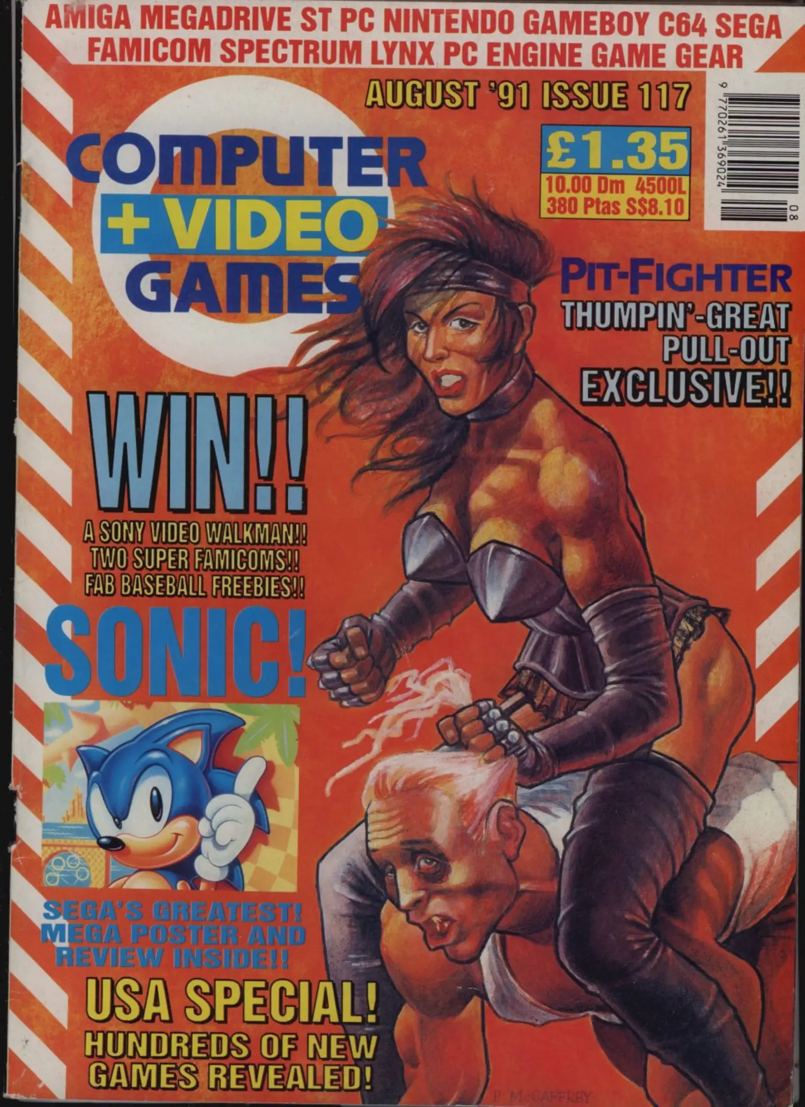 Computer & Video Games